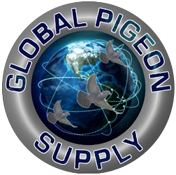 Global Pigeon Supply