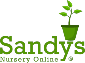 Sandys Nursery Online