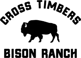 Cross Timbers Bison