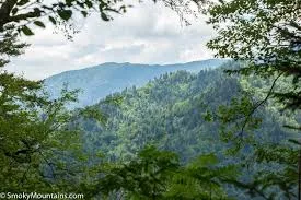 Smoky Mountains