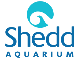 Shedd Aquarium