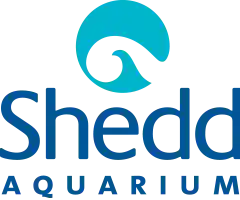 Shedd Aquarium